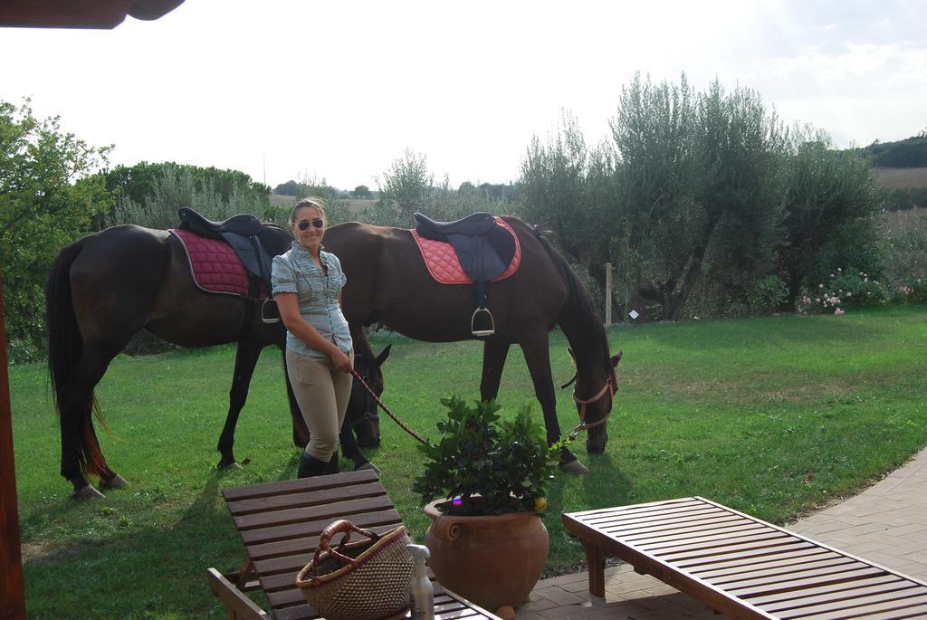 La Casa dei Cavalli Bed and Breakfast Perugia Esterno foto