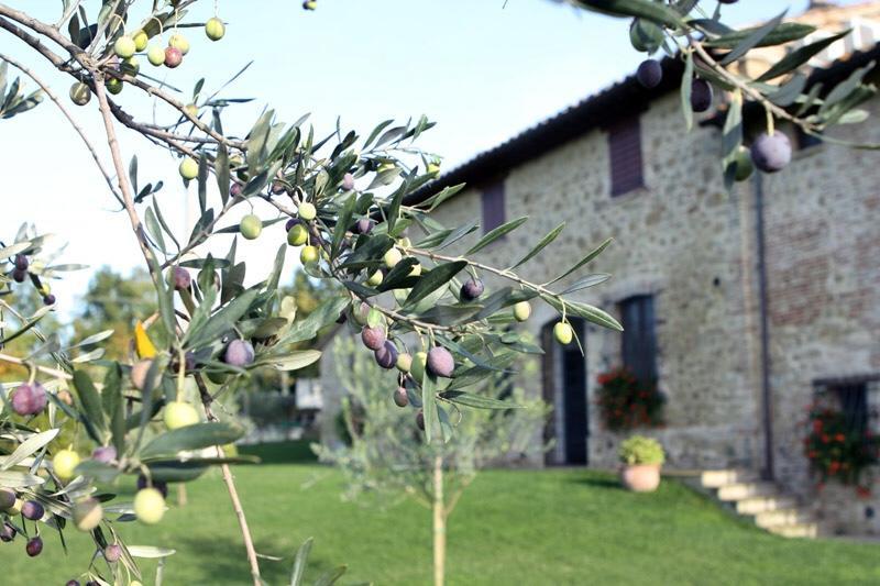 La Casa dei Cavalli Bed and Breakfast Perugia Esterno foto